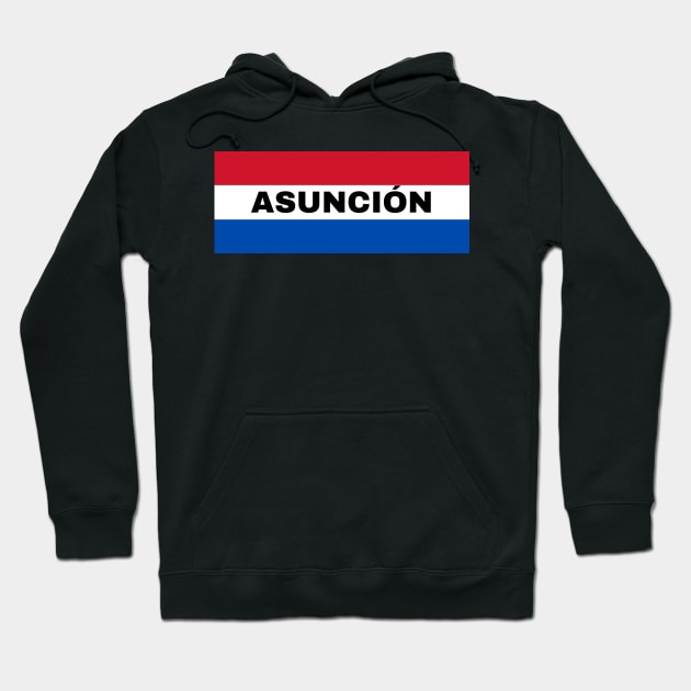 Asunción City in Paraguay Flag Colors Hoodie by aybe7elf